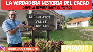 ¿SABIAS CUANTOS TIPOS DE CACAO HAY?? CUAL ES EL SECRETO DE CONVERTIR EL CACAO EN EL MEJOR CHOCOLATE?