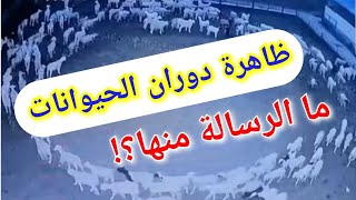 ظاهرة دوران الحيوانات! تحليل.تحذير . ما الرسالة منها؟تسريبات من تساؤلات كورس التشافي بالمعرفة