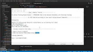 Angular 9 Reactive Forms Part 1 (Model Driven Forms)
