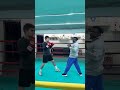 🥊 комбобокс бокс boxing box shorts