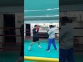 🥊 комбобокс бокс boxing box shorts