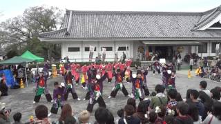 2017どまつり夜桜in岡崎　「いりゃあせ南都」 家康館前