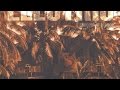 Atomic Pulse - Vision Quest
