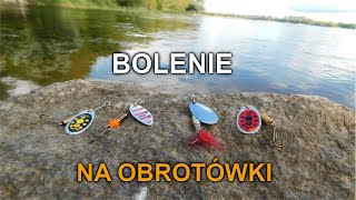 Bolenie na obrotówkę / S01E02 #wędkarstwospinningowe