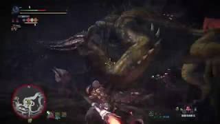 【MHW】★９　脈打て、本能（歴戦イビルジョー）　操虫棍　08'36''26