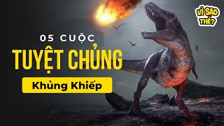 🌈 5 Cuộc Đại Tuyệt Chủng Khủng Khiếp trong Lịch sử Trái Đất | VÌ SAO THẾ?