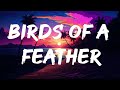 Billie Eilish - BIRDS OF A FEATHER (Lyrics)