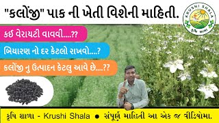 કલોંજી પાક ની ખેતી વિશેની માહિતી || કૃષિ શાળા - Krushi Shala