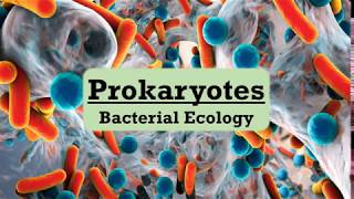 Bacterial Ecology (Prokaryotes 3/3)