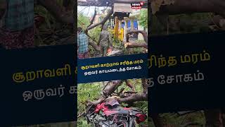 சூறாவளி கற்றல் சரிந்த மரம் ஒருவர் காயமடைந்த சோகம் | Chennai Rain | Tree Broken | TN Heavy Rain