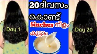 20ദിവസം കൊണ്ട് 5inches നീളം കൂട്ടാം വെറും Natural pack ആഴ്ചയിൽ 3പ്രാവശ്യം ഉപയോഗിക്കു റിസൾട്ട്‌ 100%