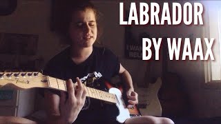 Labrador by Waax (cover)