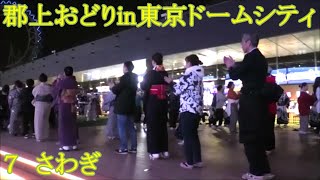 さわぎ　2024年ご当地よいどれ市　郡上おどり７　ご当地ふるさとウィークエンド　東京ドームシティ