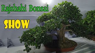 Rajshahi Bonsai Show 2020 | Bonsai | Rajshahi Bonsai Society