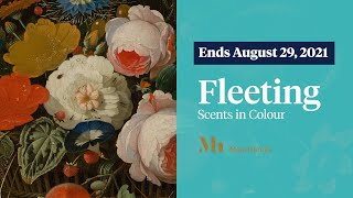 Fleeting – Scents in Colour | Smell the 17th century at the Mauritshuis!