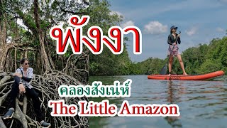 คลองสังเน่ห์ The Little Amazon Takuapa   ถ้าไปพังงา ห้ามพลาดไปเช็คอินที่นี่