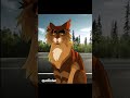 tigerstar hits cinderpaw with a car warriors