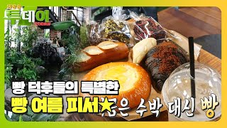 여름 빵학의 완성! 실내에서 즐기는 ‘빵 피서’ㅣ생방송 투데이(Live Today)ㅣSBS Story