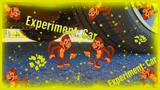 Crushing Crunchy & Soft Things by Car! EXPERIMENT CAR vs ANTI STRESS TOY
