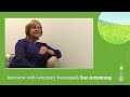 sue armstrong interview part 3 homeopathy in the treatment of autoimmune deceases in animals