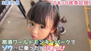 【3歳1ヶ月】那須ワールドモンキーパークでゾウに乗った、りあっぴ【りあっぴ 成長記録】