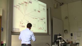 Balti and Bioinformatics - Alan McNally