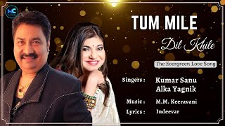 Tu Mile Dil Khile (Lyrics) - Kumar Sanu, Alka Yagnik | Nagarjuna | 90's Hit Romantic Love Songs