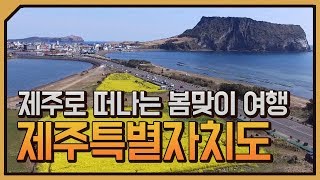 [테마기행 길] 제주로 떠나는 봄맞이 여행 제주특별자치도