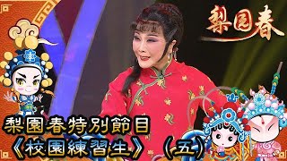 梨園春 2017年第26集 ：梨園春特別節目《校園練習生》（五）