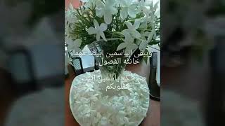 صباح الياسمين🌸🌸🌹🌹🌼🌼