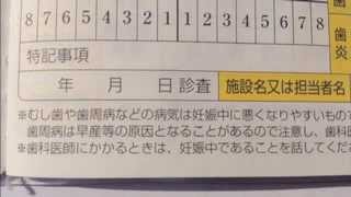 8020日歯TV　母子健康手帳＜2＞母子手帳でチェック！妊娠中の歯と口の健康