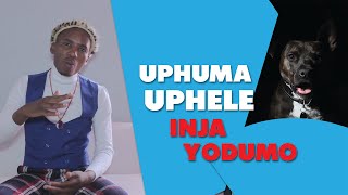 UPHUMA UPHELE INJA YODUMO UMUTHI WEZITHA| DR NGONYAMA