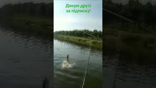 Оце вона!😲 Гарний улов!💪 Згадаємо приємне! FISHING. Рибалка.