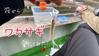 極寒の青野ダムで釣り放題！