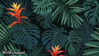 Relaxing Hawaiian Background Music - Tropical Mood Instrumentals