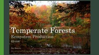 Temperate Forests Ecosystem Production