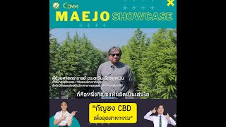 Maejo Showcase |  กัญชง เพื่ออุตสาหกรรม