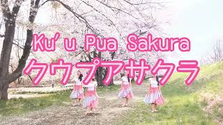 クウプアサクラ Ku'u Pua Sakura  #フラ #hula #フラダンス