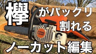 ノーカットで欅がパックリ割れる瞬間