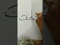 subhanallah calligraphy tutorial 🧑‍🎨 ✒️. shorts subscribe viral abdul hadi.