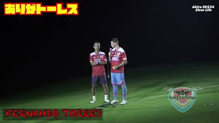 フェルナンド トーレス引退