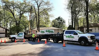 Walnut Tree Removal - Project 2021-295 Rock Solid - 4 Seasons Tree Service Springfield Missouri
