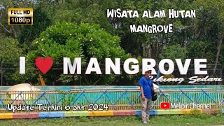 UPDATE TERKINI‼️ Wisata hutan mangrove sedari karawang