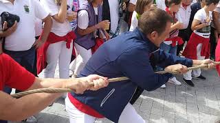 Fiestas de Ólvega, Soria