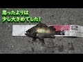 電気ウキでメバル釣り！！岡山の絶景：ライトアップの瀬戸大橋も映ります