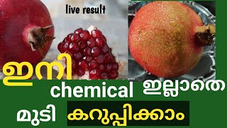 ഇനി കെമിക്കൽ ഇല്ലാതെ മുടി കറുപ്പിക്കാം//natural hair dye//no chemical hair dye..