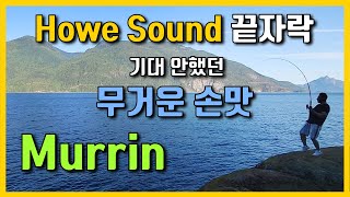 하이킹 중 30분 짬낚 하다 만난 대물 - 밴쿠버 갯바위 낚시 포인트 소개 Murrin Park