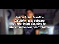 abi dulce rău versuri lyrics