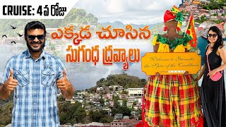 Magical Grenada | Spice Island of the Caribbean | Cruise Ship Vlog Day 4 | Ravi Telugu Traveller