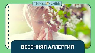 #НАЗДОРОВЬЕ: весенняя аллергия